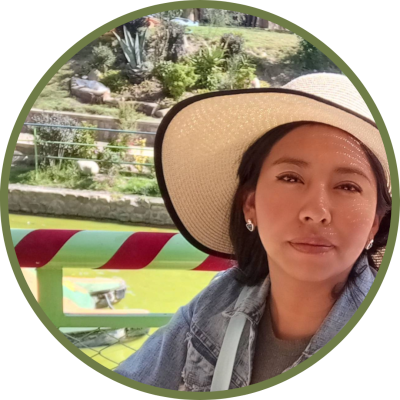 images/vj_teams/Jhovana_Paola_Santos_Manzaneda.png#joomlaImage://local-images/vj_teams/Jhovana_Paola_Santos_Manzaneda.png?width=400&height=400